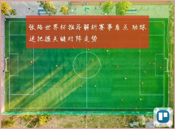 张路世界杯推荐解析赛事看点 助球迷把握关键对阵走势