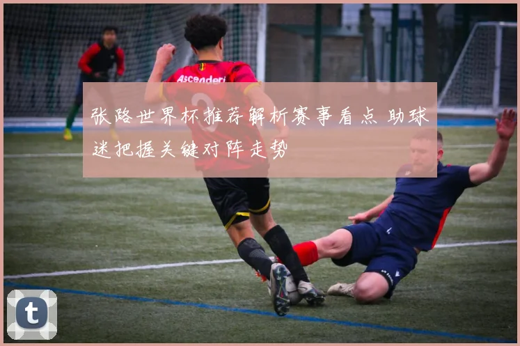 张路世界杯推荐解析赛事看点 助球迷把握关键对阵走势