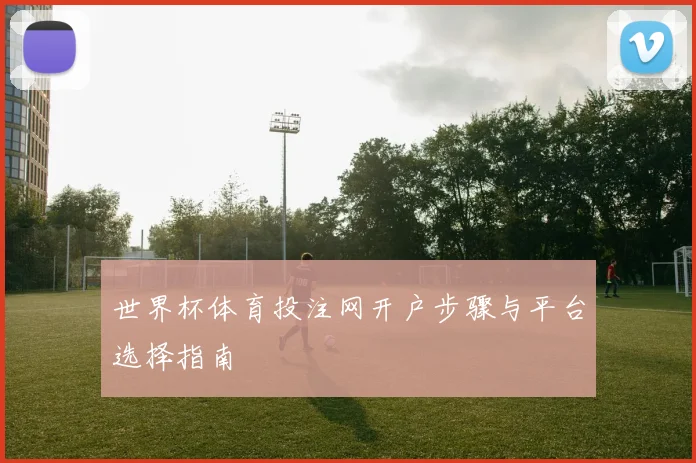 世界杯体育投注网开户步骤与平台选择指南
